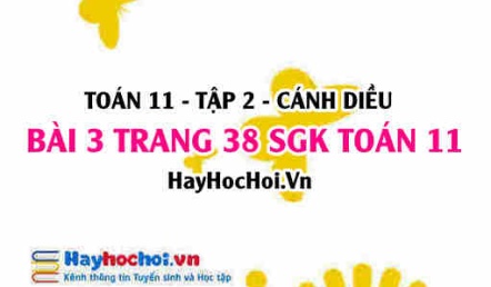 Bài 3 trang 38 Toán 11 tập 2 Cánh Diều